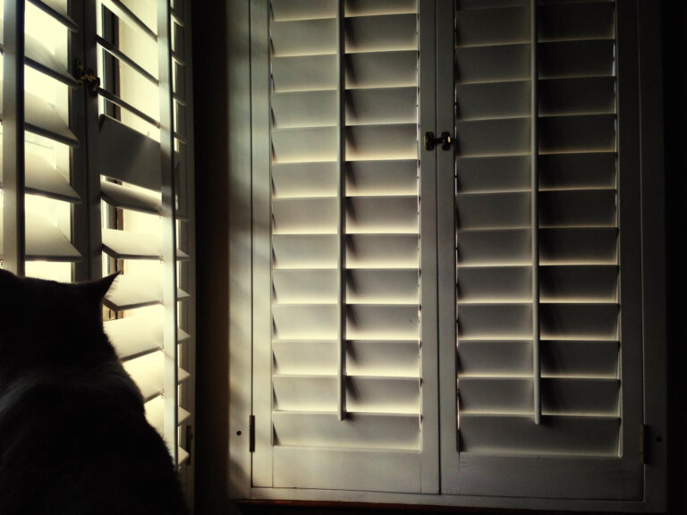 Shutters